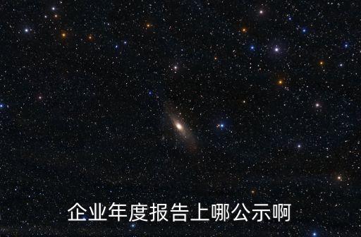 企業年度報告上哪公示啊
