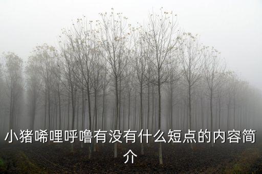 小豬呼嚕嚕，小豬唏哩呼嚕有沒有什么短點的內容簡介