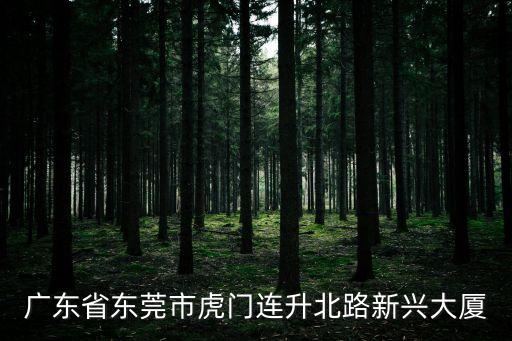 廣東省東莞市虎門連升北路新興大廈