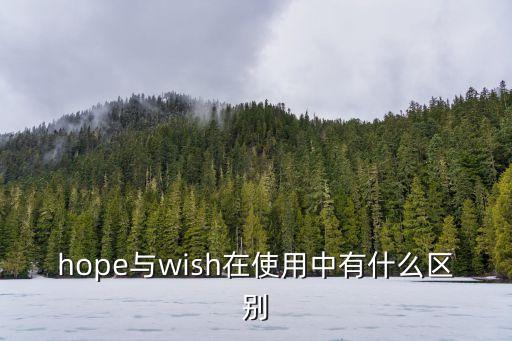 hope與wish在使用中有什么區別