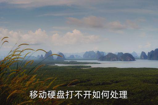 移動硬盤打不開如何處理
