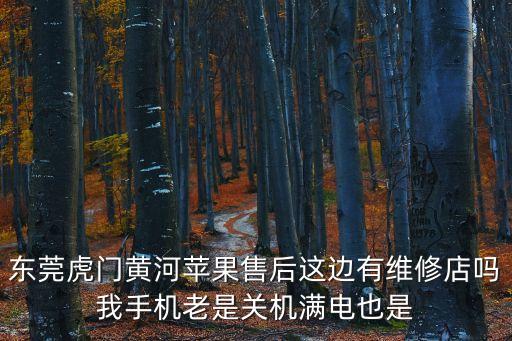 東莞虎門黃河蘋果售后這邊有維修店嗎我手機老是關機滿電也是