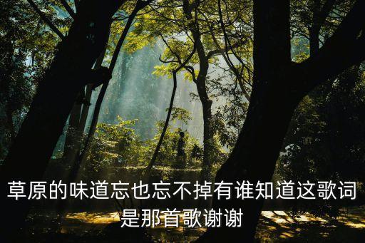 草原味道，草原的味道忘也忘不掉有誰知道這歌詞是那首歌謝謝