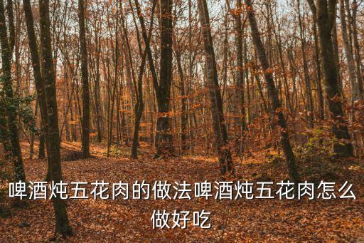啤酒燉肉，啤酒燉五花肉的做法啤酒燉五花肉怎么做好吃
