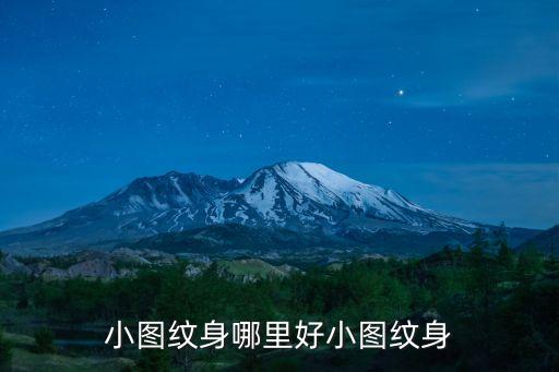 小圖紋身，紋身有沒有好看點的小圖