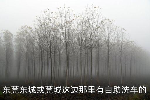 東莞東城或莞城這邊那里有自助洗車的