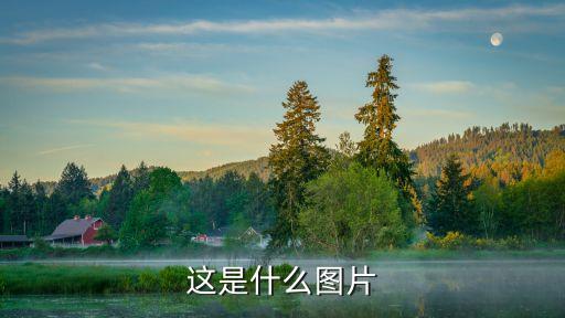 這是什么圖片