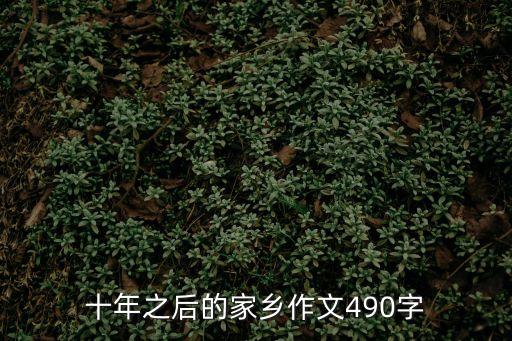 十年之后的家鄉作文490字