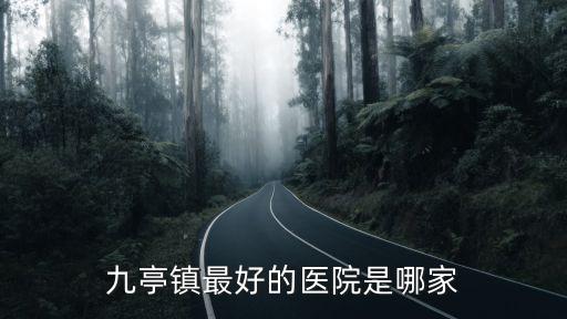 九亭鎮最好的醫院是哪家