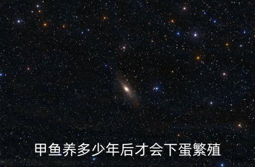 甲魚繁殖，野生甲魚怎么繁殖