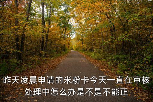 昨天凌晨申請的米粉卡今天一直在審核處理中怎么辦是不是不能正