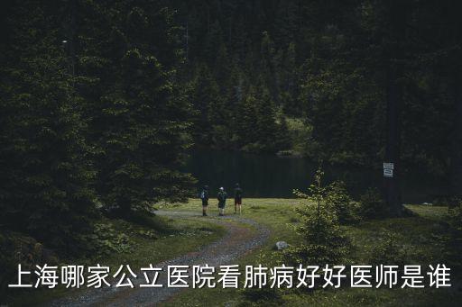 上海哪家公立醫院看肺病好好醫師是誰