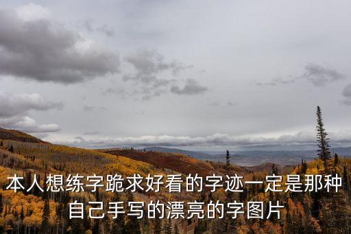 本人想練字跪求好看的字跡一定是那種自己手寫的漂亮的字圖片