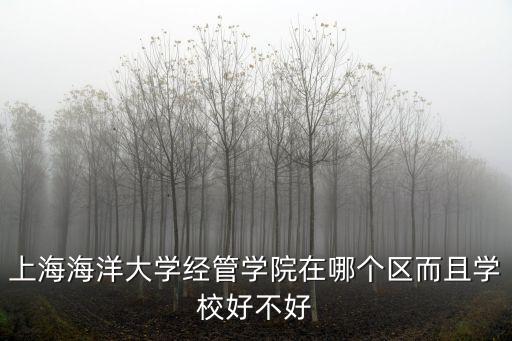上海海洋大學經管學院在哪個區而且學校好不好