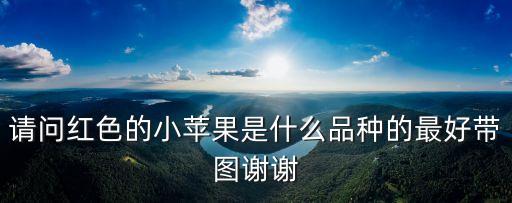 請問紅色的小蘋果是什么品種的最好帶圖謝謝
