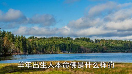 羊年出生人本命佛是什么樣的