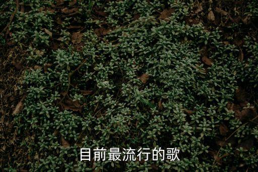 目前最流行的歌