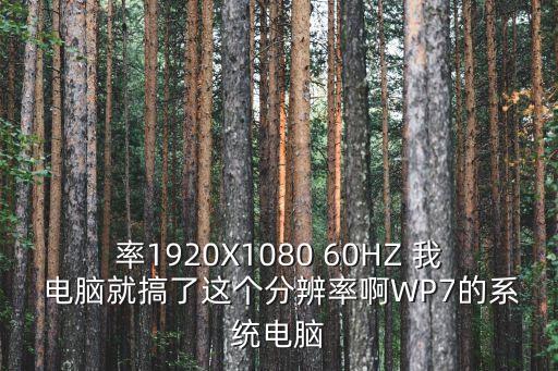 上海市配備AED的地鐵站，率1920X1080 60HZ 我 電腦就搞了這個分辨率啊WP7的系統電腦