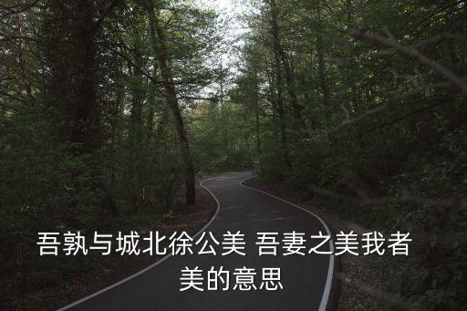 吾孰與城北徐公美 吾妻之美我者  美的意思