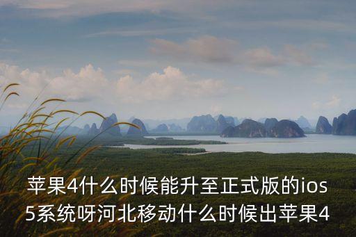 東莞ipad更新，為什么ipad air更新完就是進不了app按照網(wǎng)上的把dns改成8888或