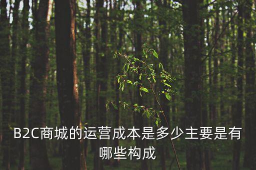 電商運營成本，B2C商城的運營成本是多少主要是有哪些構成