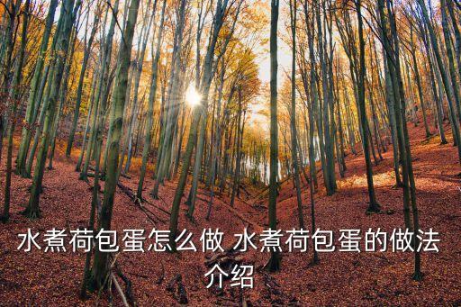 水煮荷包蛋，荷包蛋怎么煮才能完整
