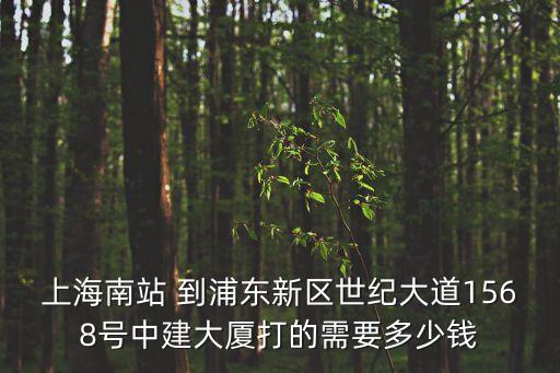 上海南站 到浦東新區(qū)世紀(jì)大道1568號中建大廈打的需要多少錢