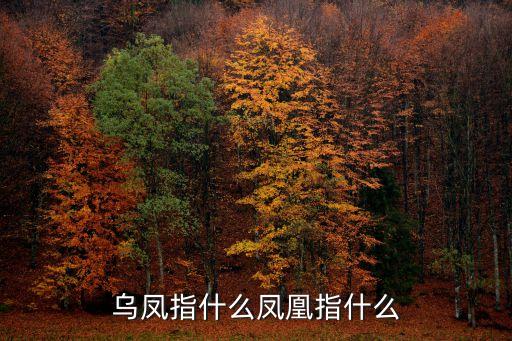 烏鳳指什么鳳凰指什么