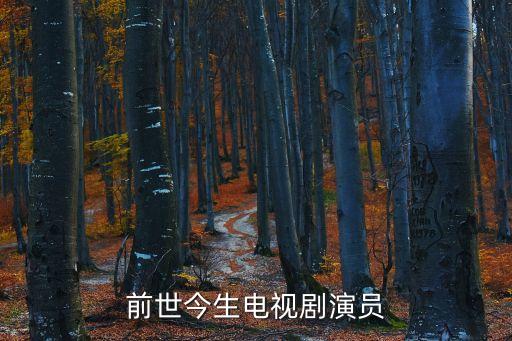 前世今生電視劇演員
