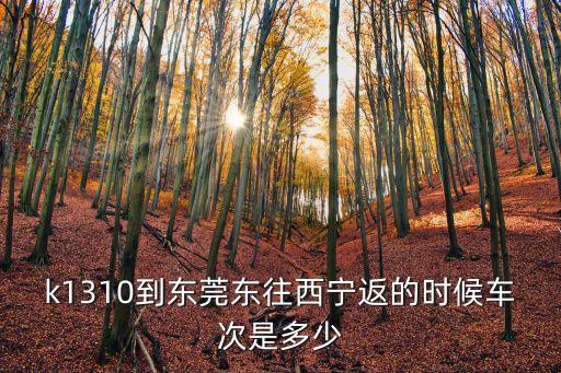 東莞到青海西寧高鐵，東莞西寧是在那條鐵路線