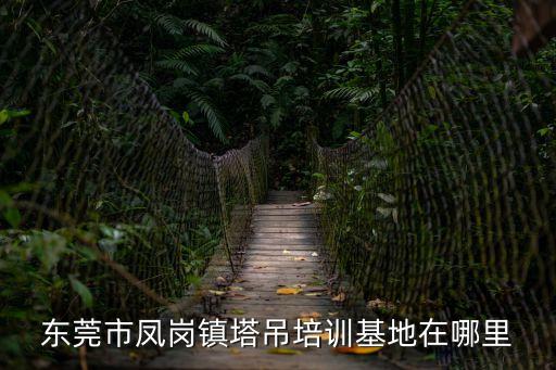 東莞塔吊學校，東莞哪里有學塔吊挖掘機叉車之類的培訓學校