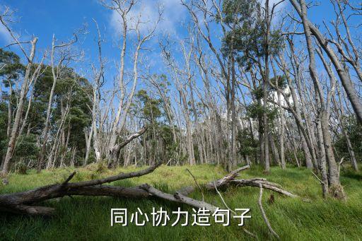 同心協(xié)力造句子