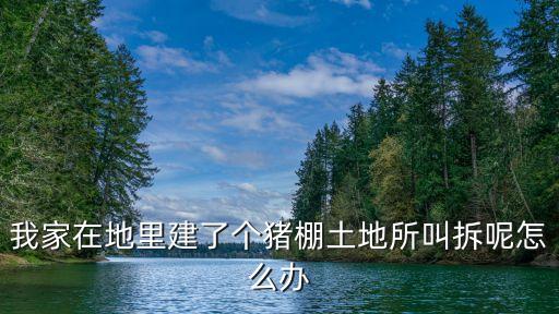 我家在地里建了個豬棚土地所叫拆呢怎么辦