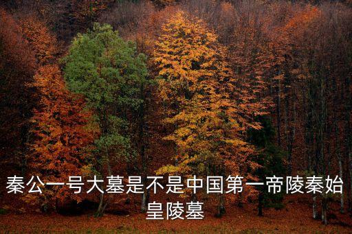 秦景公墓，秦公一號大墓是不是中國第一帝陵秦始皇陵墓