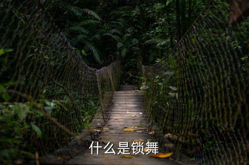 什么是鎖舞