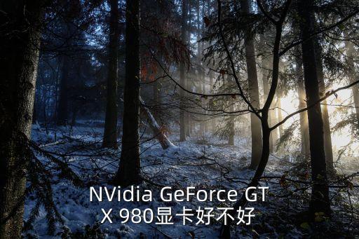 gtx980，NVidia GeForce GTX 980是什么顯卡