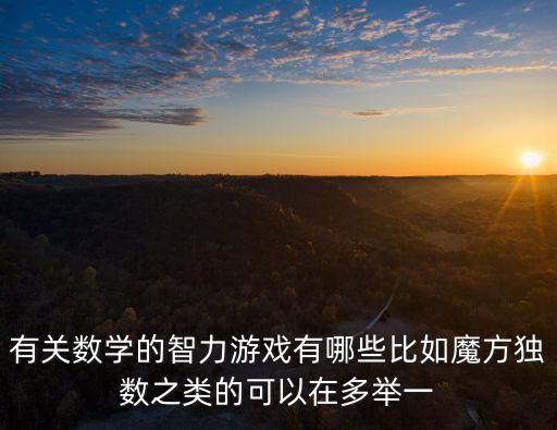 有關(guān)數(shù)學(xué)的智力游戲有哪些比如魔方獨(dú)數(shù)之類的可以在多舉一