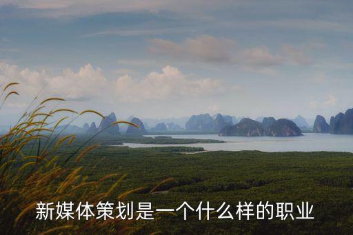 新媒體策劃，新媒體策劃是一個什么樣的職業