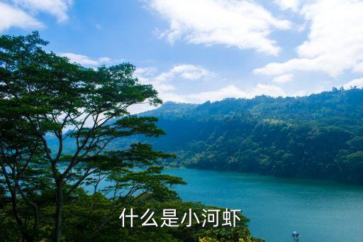 什么是小河蝦