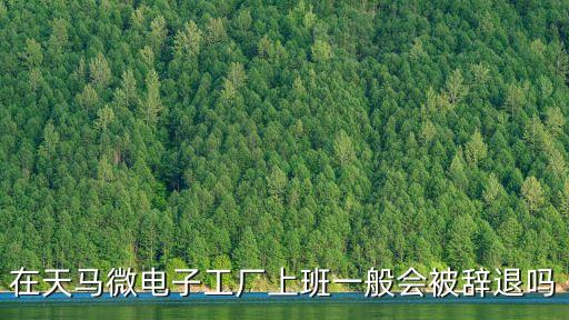 東莞天馬電子廠怎么樣，天馬微電子公司待遇怎么樣
