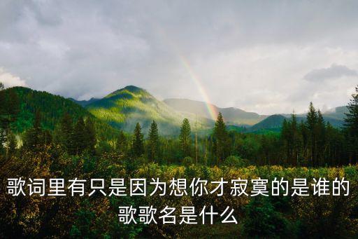 歌詞里有只是因?yàn)橄肽悴偶拍氖钦l(shuí)的歌歌名是什么