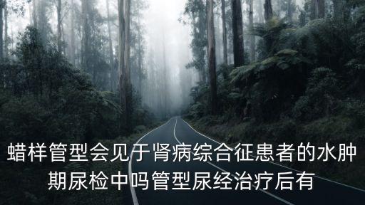 蠟樣管型，尿中出現蠟樣管型表示什么病