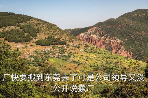 廠快要搬到東莞去了可是公司領導又沒公開說搬廠