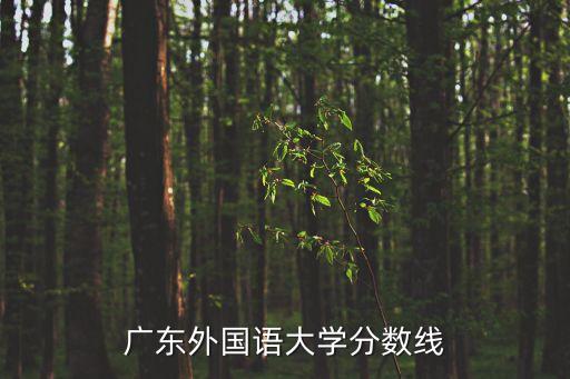 廣外分?jǐn)?shù)線，廣州外語外貿(mào)大學(xué)的分?jǐn)?shù)線大概多少