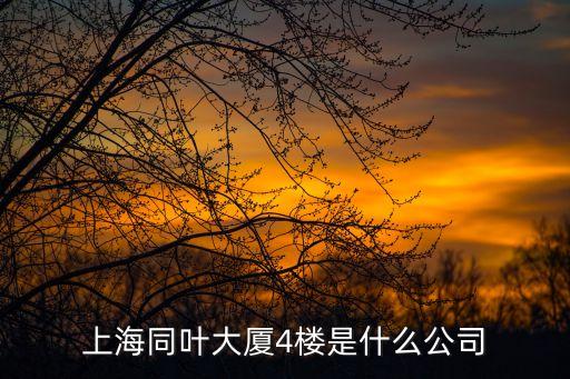 上海同葉大廈4樓是什么公司
