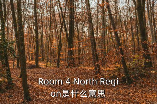 Room 4 North Region是什么意思