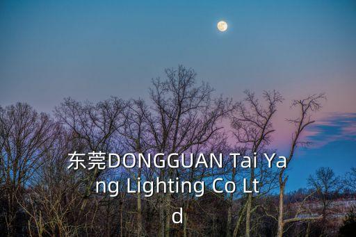 東莞DONGGUAN Tai Yang Lighting Co Ltd