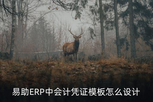 會計憑證模板，會計憑證的模板