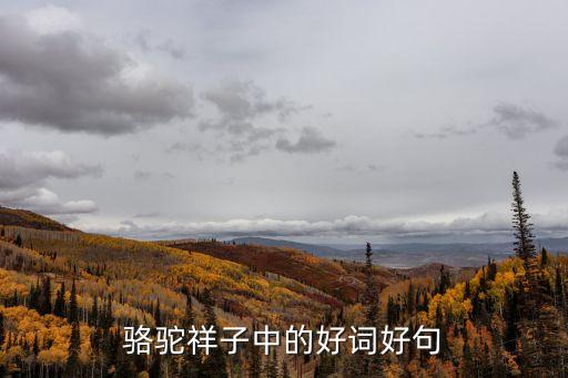 駱駝祥子好詞好句，駱駝祥子中的好詞好句