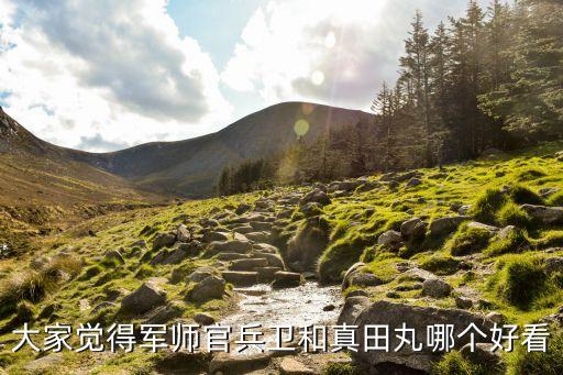 大家覺得軍師官兵衛(wèi)和真田丸哪個好看